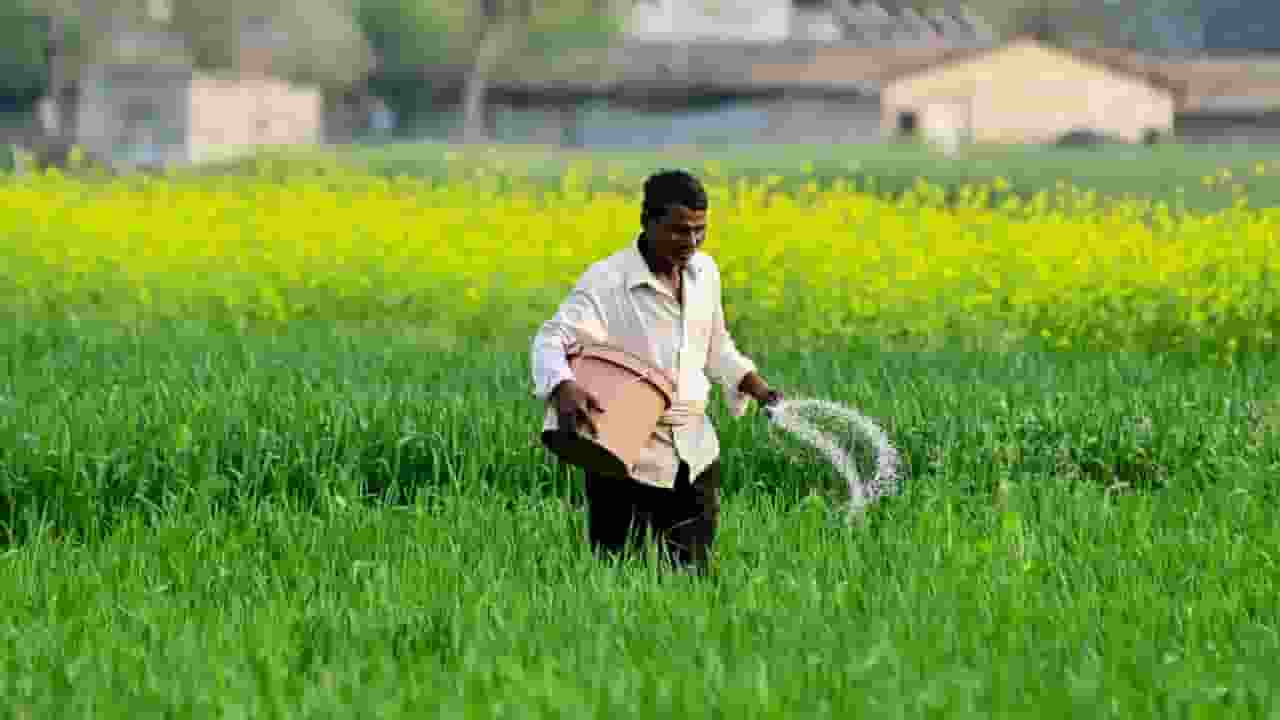 Ashwini Vaishnaw announces Hikes MSP for 14 Kharif Crops
