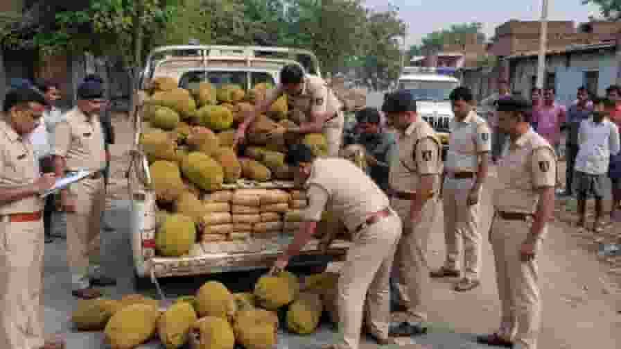 representative image of police raid
