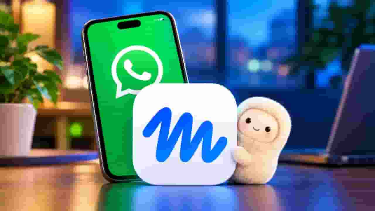 representative image of gun Meta Muse and WhatsApp