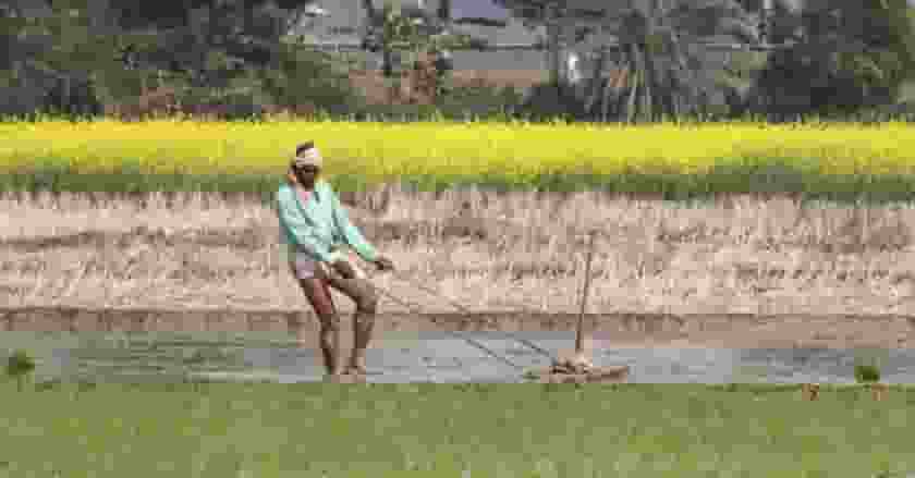 Farmer