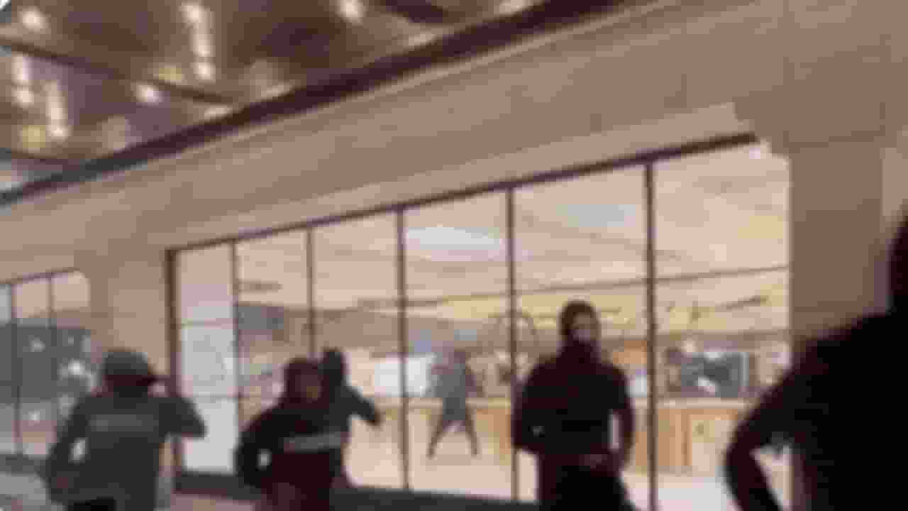 लॉस एंजेलिस में मास्क लगाए लोगों ने एप्पल स्टोर लूटा, वायरल वीडियो Photo Credit: Screengrab of video