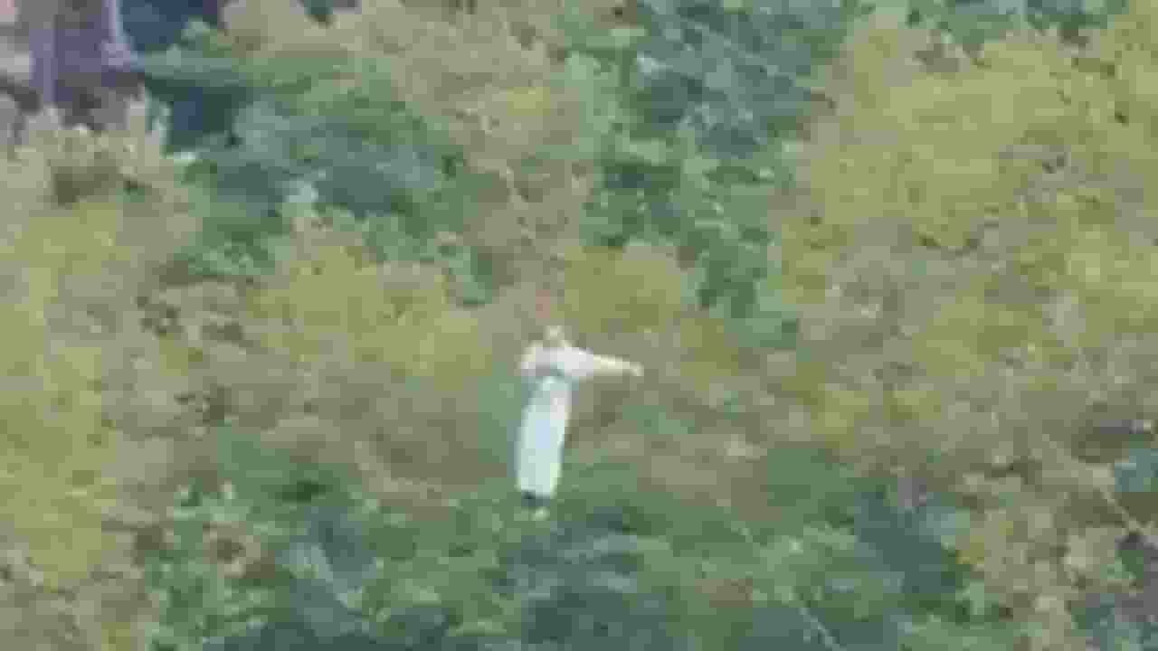 मनाली में टूटा जिपलाइन, लड़की के गिरने का खौफनाक वीडियो Girl falls from zipliner.