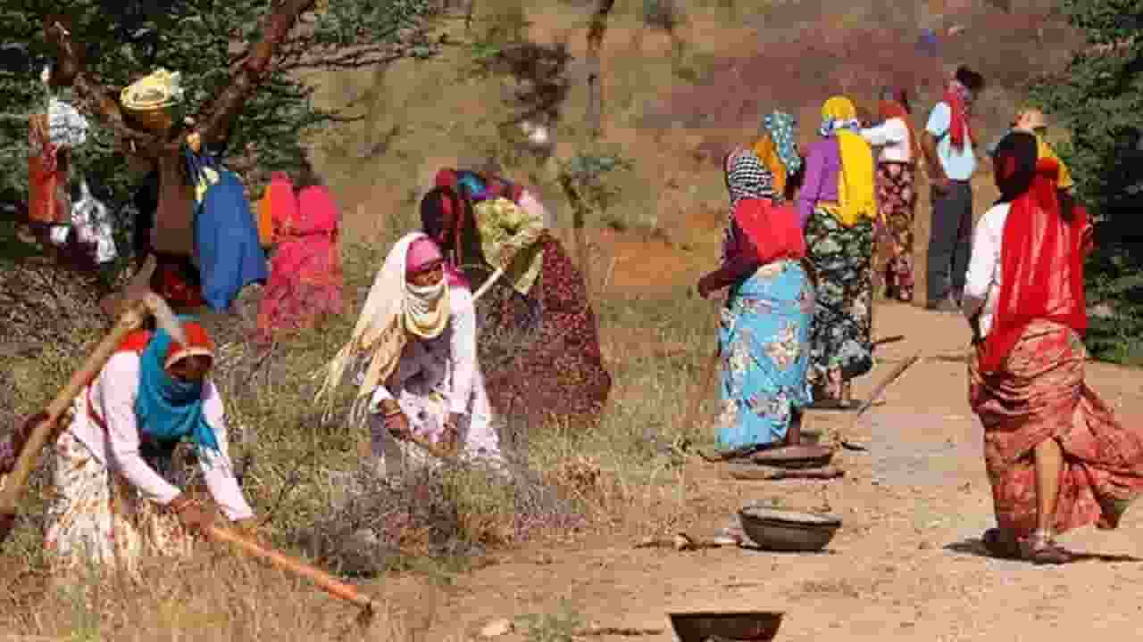 मनरेगा: मोबाइल मॉनिटरिंग में फ्रॉड के खतरे, जिन्हें लेकर डरी है सरकार MGNREGS