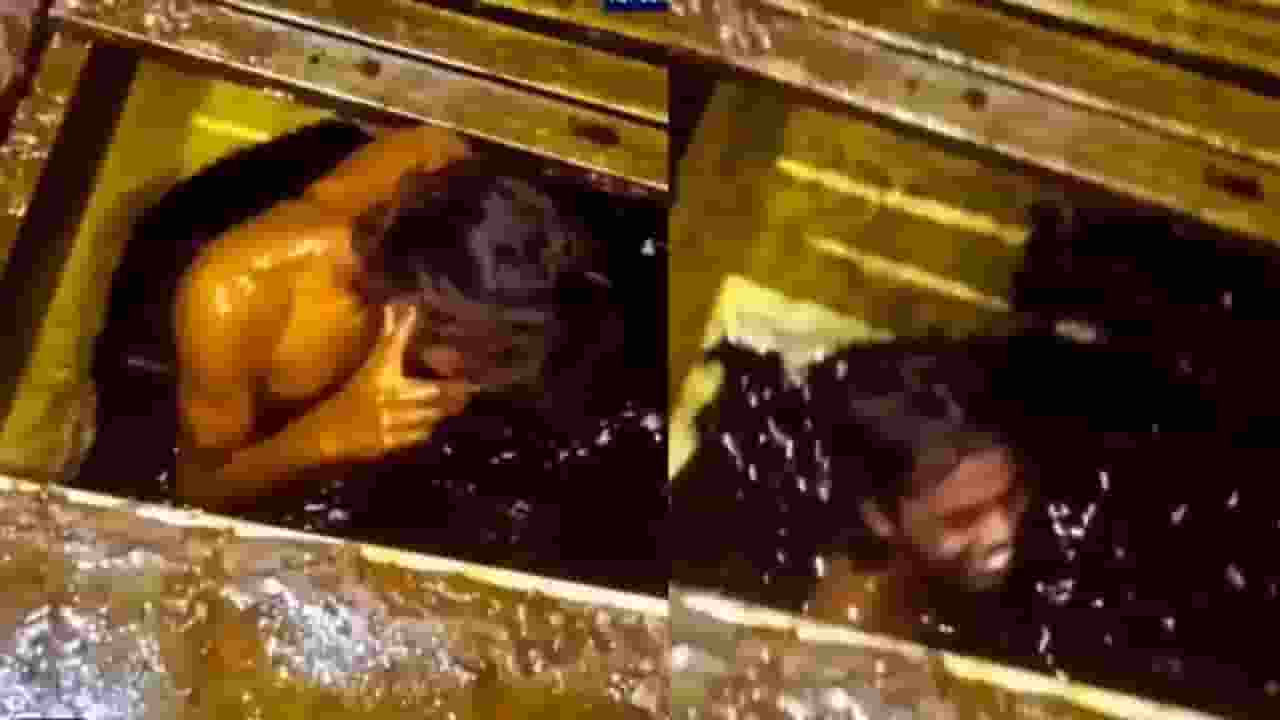 Mustard Oil Viral Video