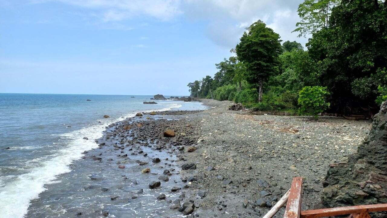 ग्रेट निकोबार प्रोजेक्ट क्या है? जिस पर हो रहा बवाल; समझें ABCD great nicobar project