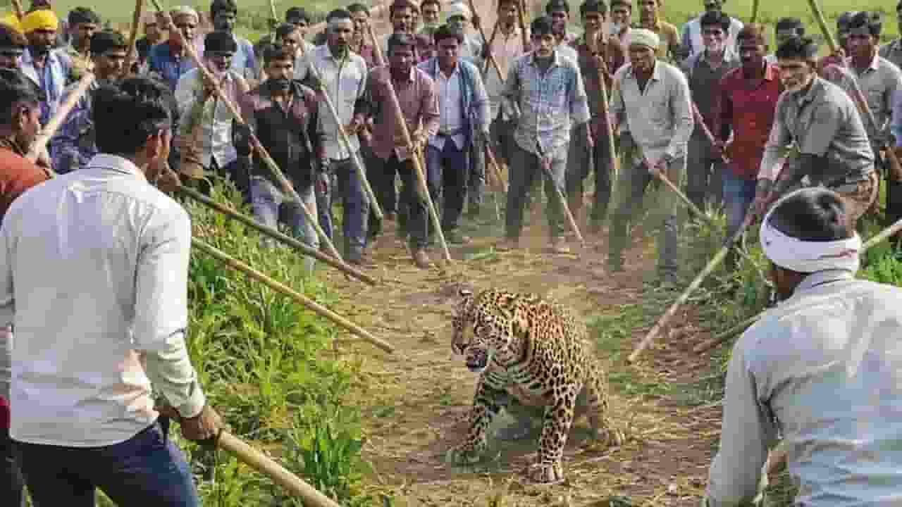 Bihar News