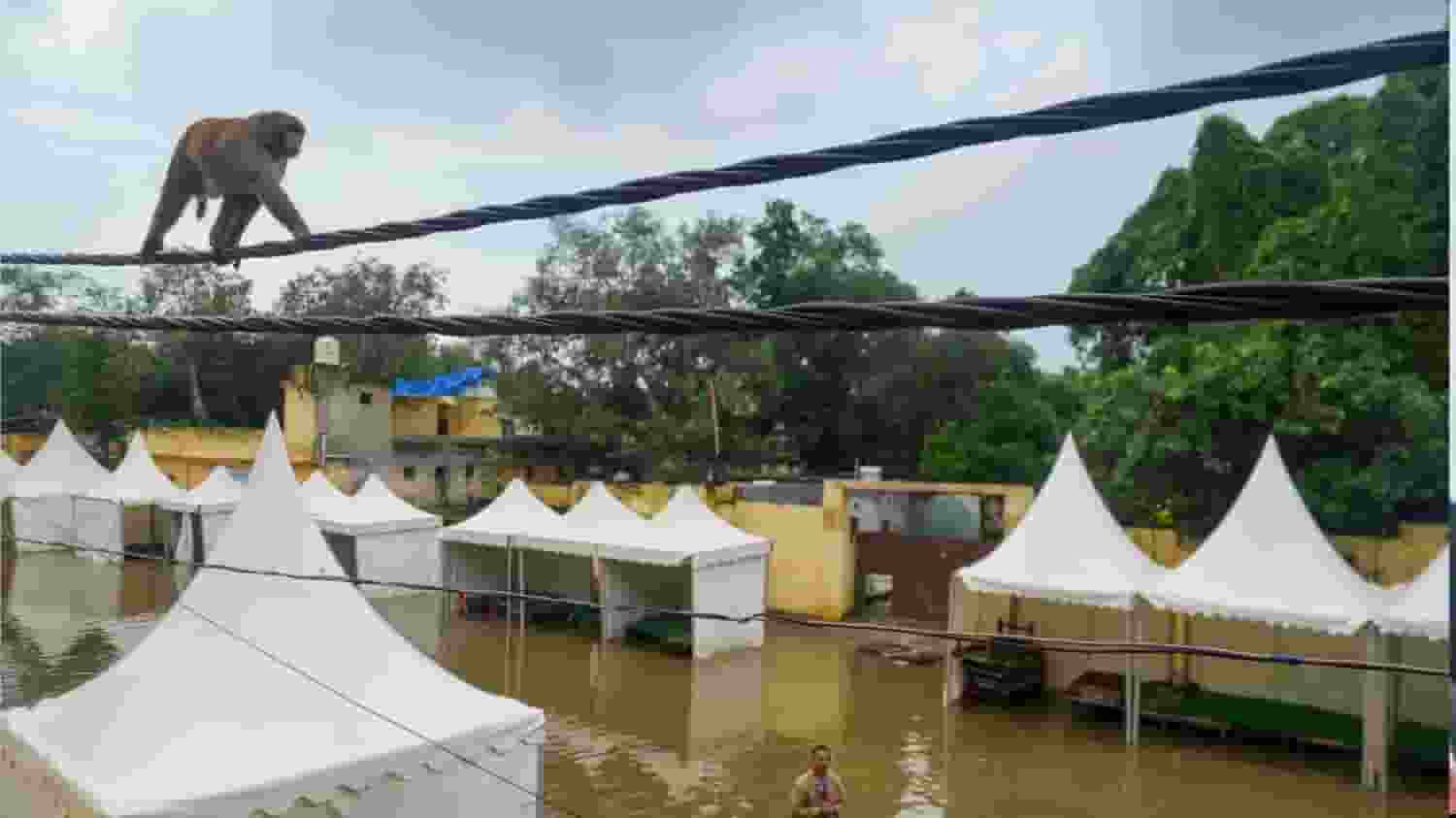 दिल्ली में यमुना का जलस्तर घटा लेकिन अब दोहरी आफत, जानिए दिल्ली का हाल Delhi Flood