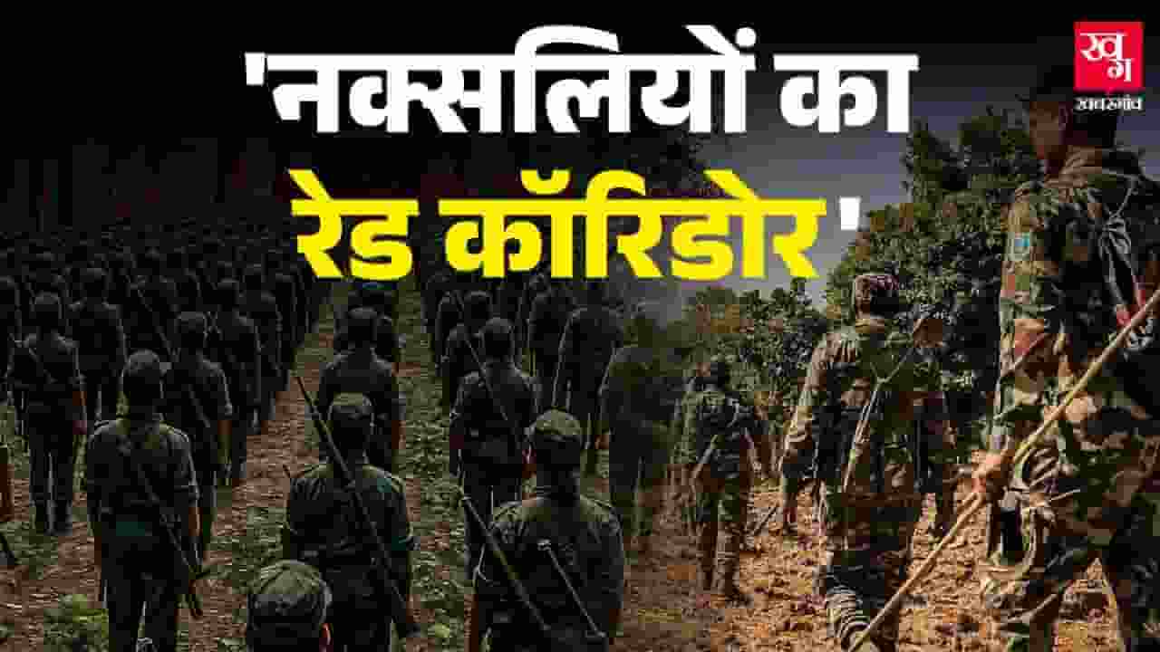 बीजापुर से गढ़चिरौली तक, 6 जिलों में ही क्यों जानलेवा बने हैं नक्सली? Naxal