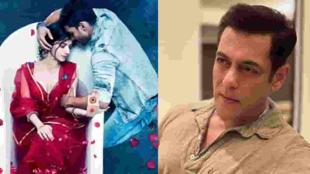 सलमान खान होंगे 'सनम तेरी कसम 2' का हिस्सा! डॉयरेक्टर ने दिया जवाब Harshvardhan Rane, Mawra Hocane, salman khan