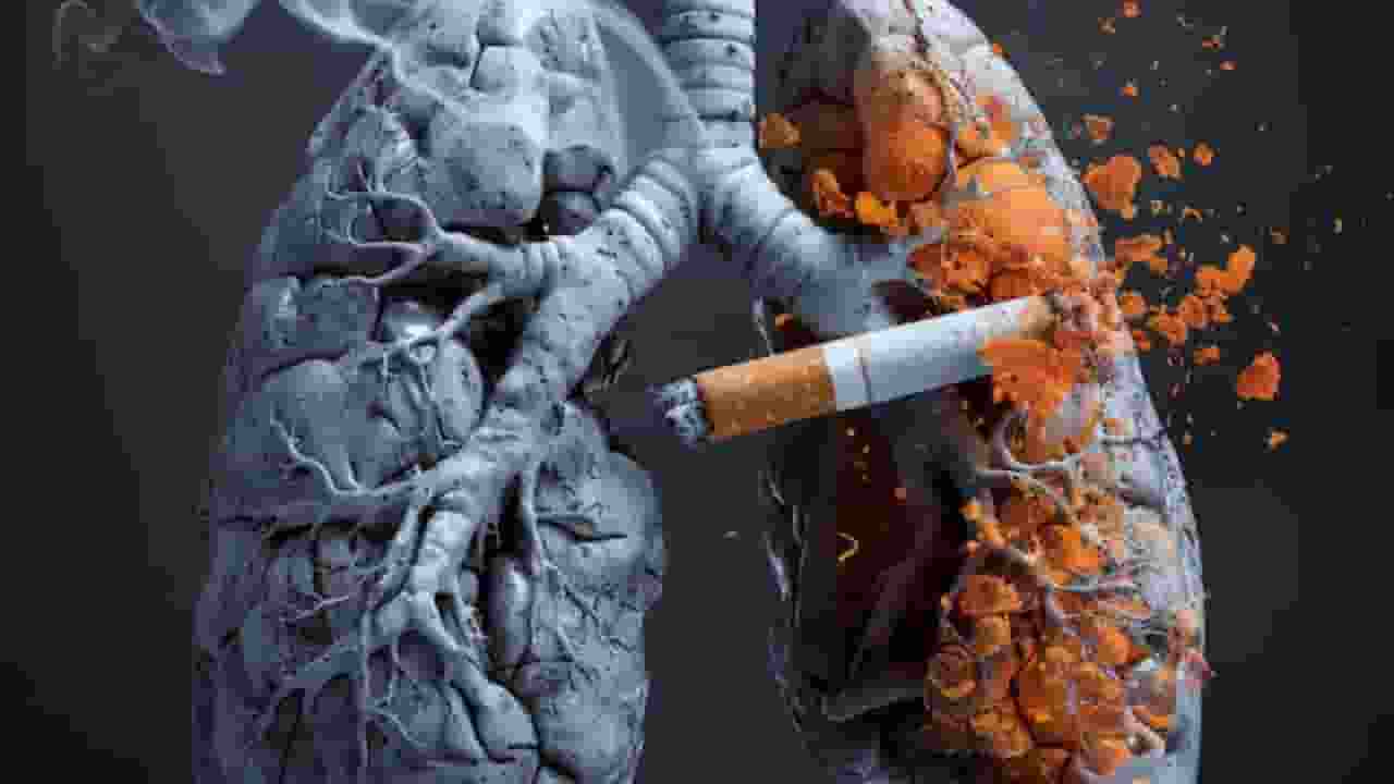 क्या पैसे मिलने पर छोड़ेंगे धूम्रपान, जानें किन लोगों को मिला फायदा
smoking