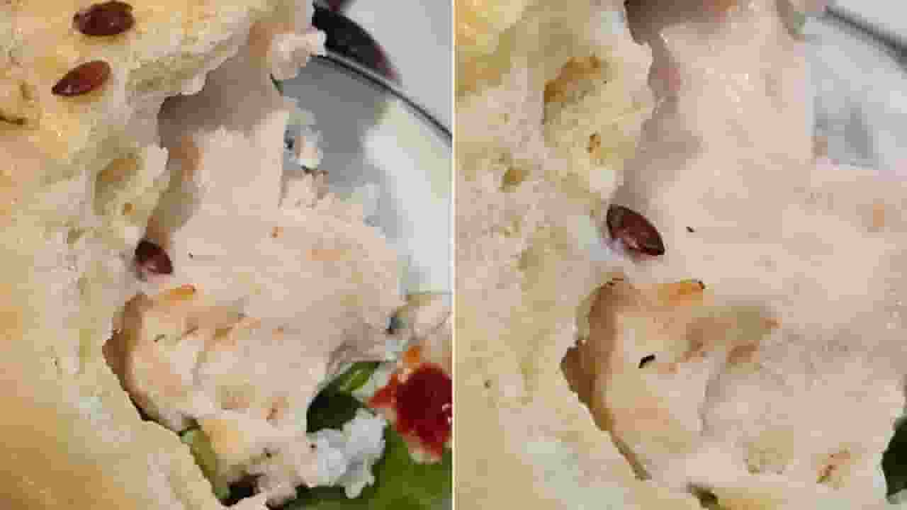 live worm in sandwich