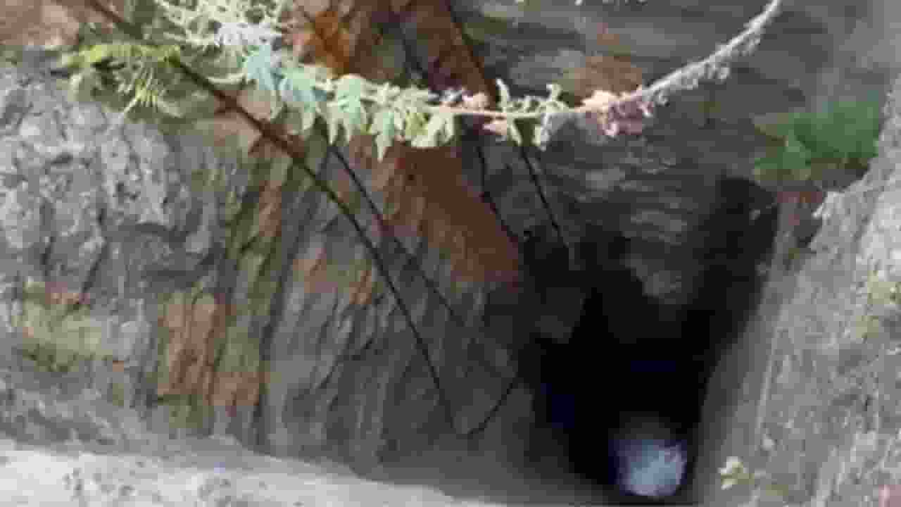 असम की कोयला खदान में अचानक भरा पानी, मजदूरों को बचाने का अभियान जारी Dima Hasao coal mine