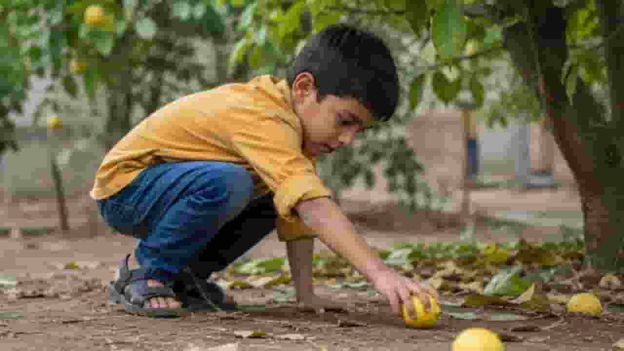 boy lost his life while trying to pick up a lemon that had fallen from a tree