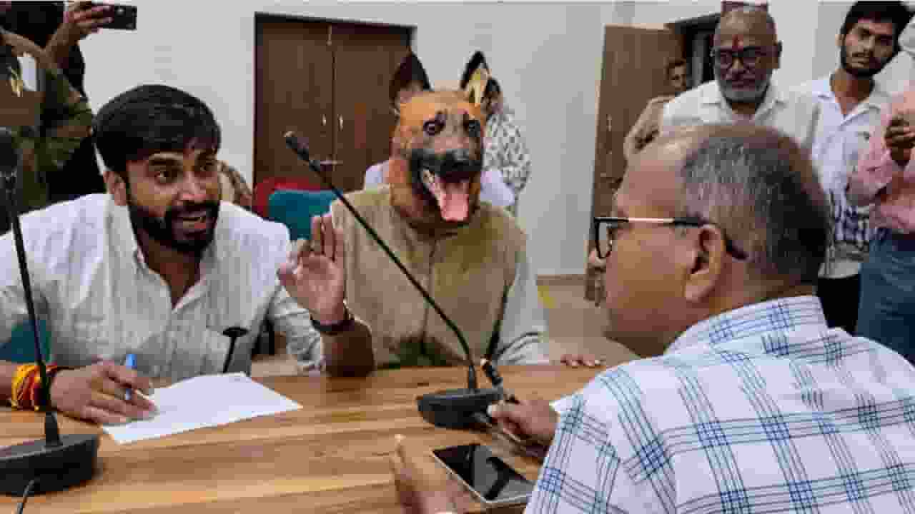 Collector office wearing dog mask