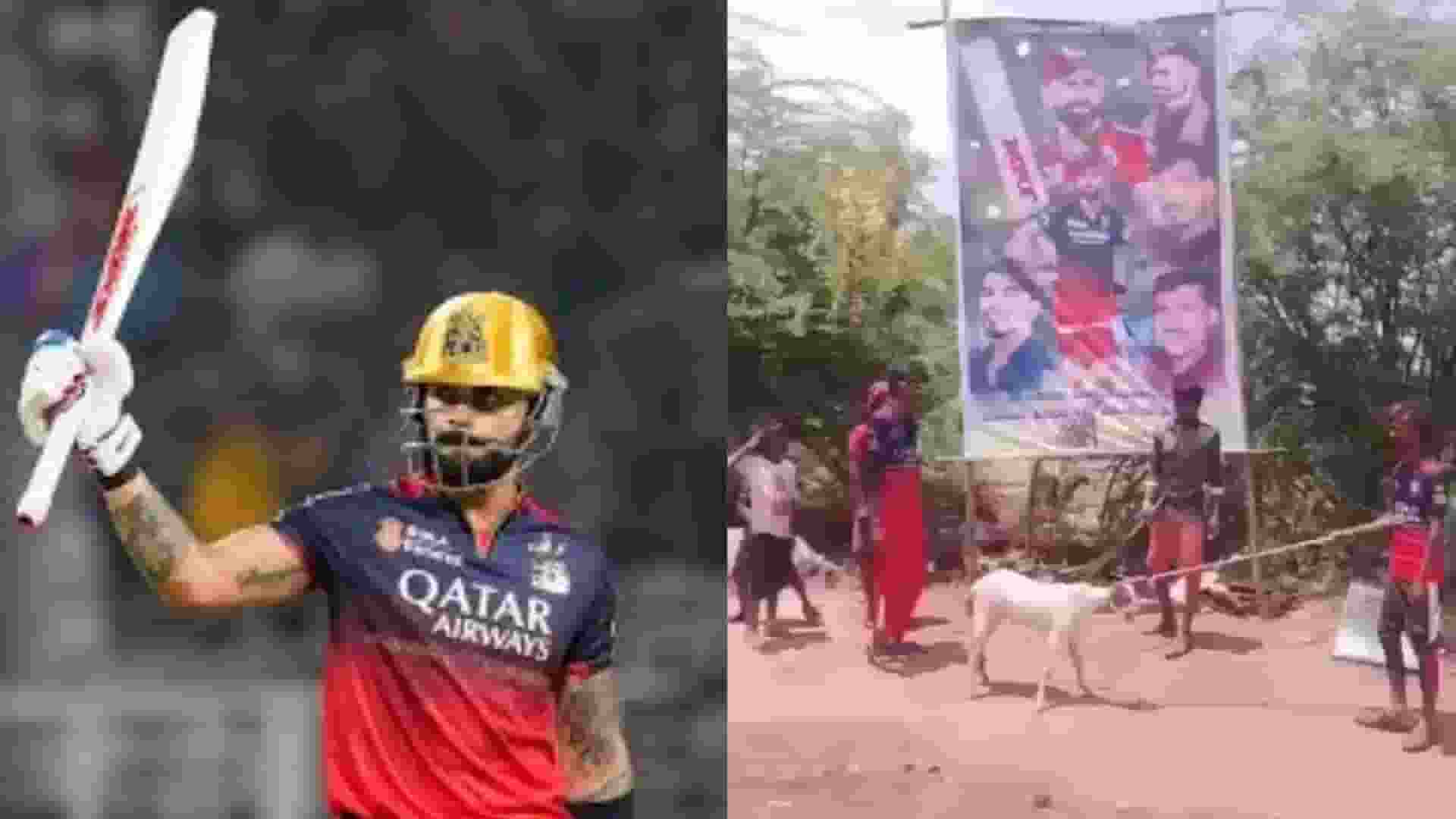 विराट कोहली के फैंस हुए गिरफ्तार, वजह हैरान कर देगी virat kohli