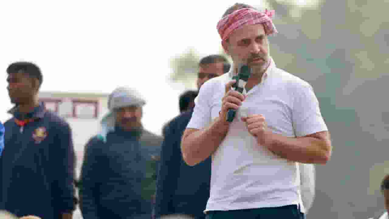 राहुल गांधी ने शुरू किया 'सफेद टी-शर्ट मूवमेंट', क्या है पीछे का मकसद? White T shirt Movement