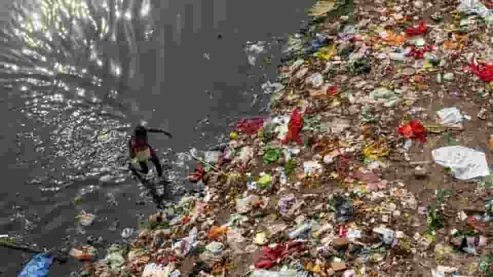 'गंदी यमुना, सड़क, पानी...', AAP के अधूरे काम का असर क्या? Arvind Kejriwal