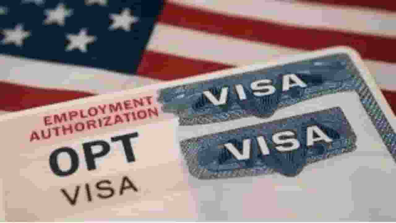 संकट में OPT, अमेरिका में भारतीय छात्रों पर सबसे अधिक असर क्यों? opt america visa