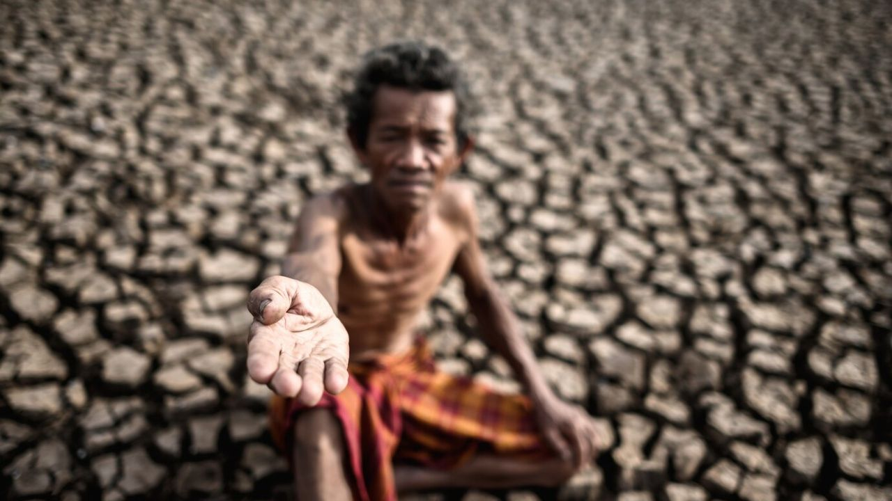 पाकिस्तान में 'खाद' के अकाल से छा सकती है भूखमरी! उर्वरक आपूर्ति ठप pakistan fertilizer sector