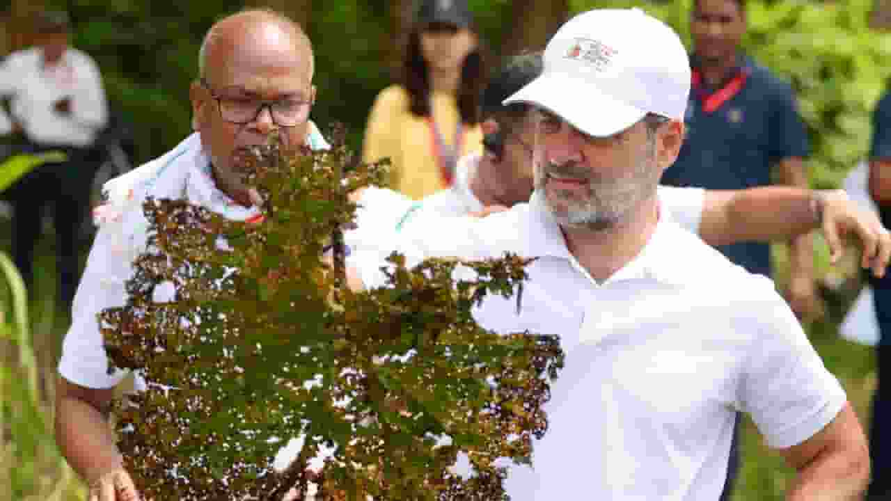 मखाना पर सियासत भी, वादा भी, इरादा भी, फिर किसान परेशान क्यों? Makhana Board