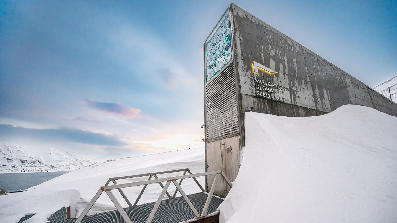 धरती तबाह हो जाए, यहां रखे बीजों को कुछ नहीं होगा, सीड वॉल्ट की कहानी Image of Svalbard Global Seed Vault